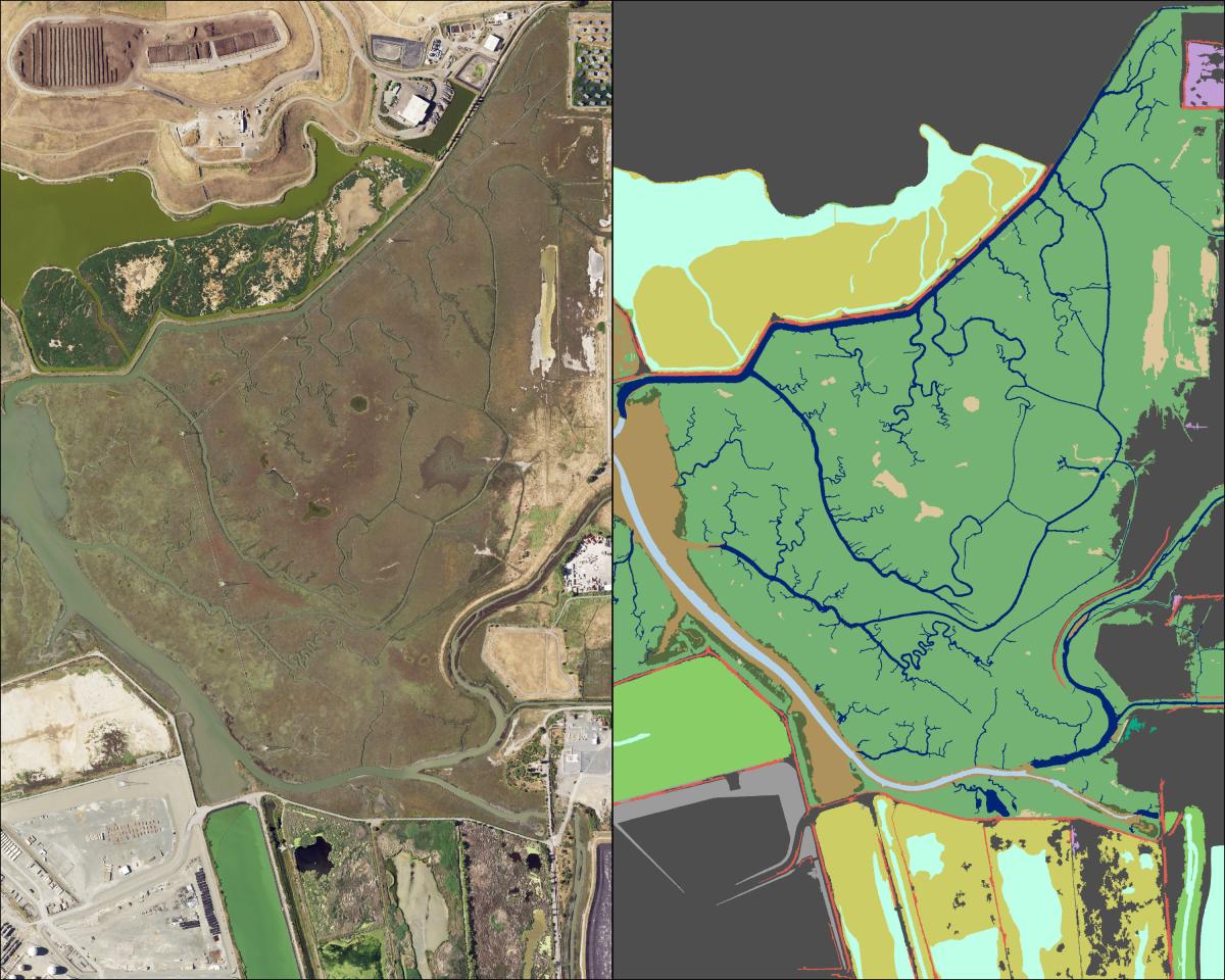 Left image shows an aerial photograph used for classification of Wildcat Marsh in Richmond. RIGHT:  Baylands Habitat Map 2020 for same area.